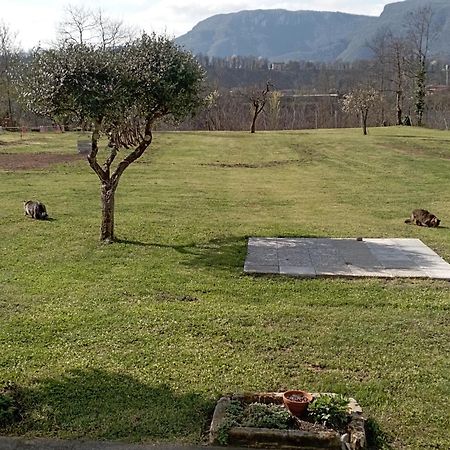 Affittacamere La Foresta Di Sopra Barga Exterior foto